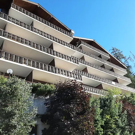 The Fox's Family - Appartamento