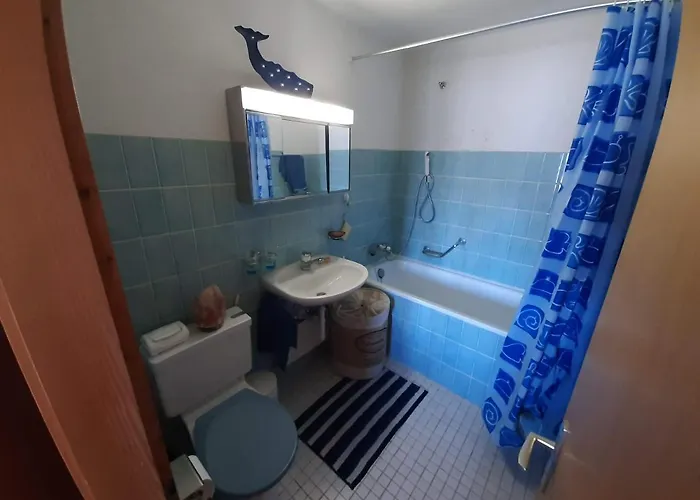 The Fox's Family - * Veysonnaz