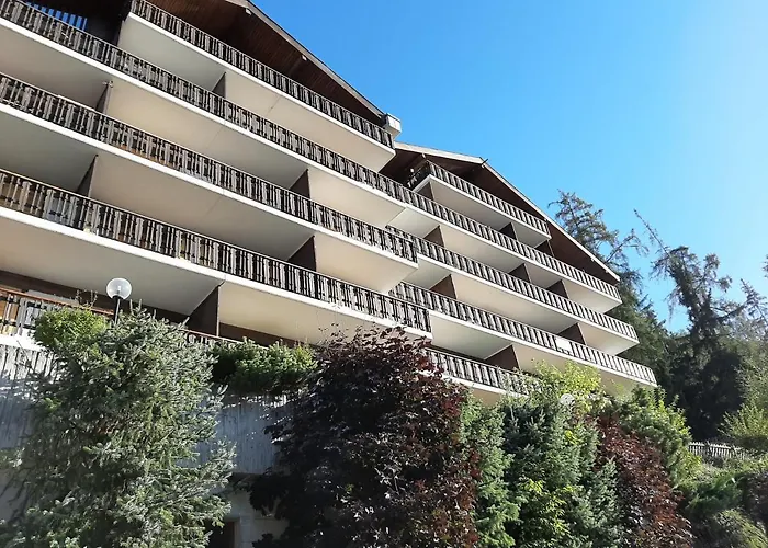 The Fox's Family - *