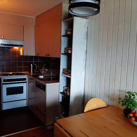 The Fox's Family - فييسوناز