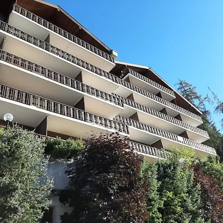 The Fox's Family - *